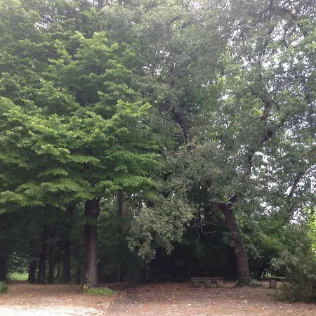 Ca' La Madonnina Villa Trebbiantico